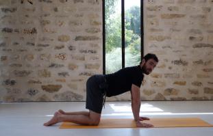 תרגול להקלה בכאבי גב תחתון- נשימה ושחרור