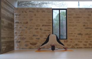 שיעור לייב לכל הרמות עם עידו לוי-8