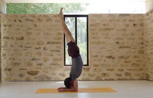 הקשר בין הגוף הקדמי והאחורי בתנוחות היוגה