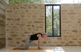 המסע לעבר עמידת ידיים חופשית- הגה כפות הידיים