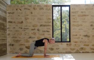 המסע לעבר עמידת ידיים חופשית- הגה כפות הידיים