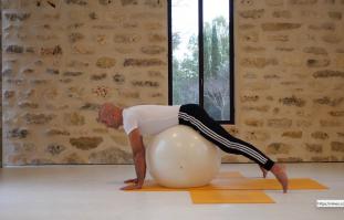 מיומנות תנועתית עם כדור פיטבול