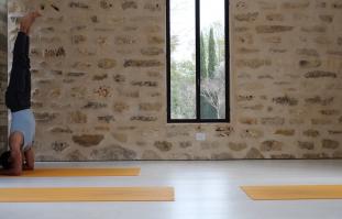 עמידת מרפקים שלב אחרי שלב