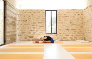 הגברת החיות והיציבות דרך תרגול כפיפות קדימה