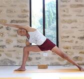 שיעורי איינגר יוגה לממשיכים-מתקדמים עם איל שיפרוני