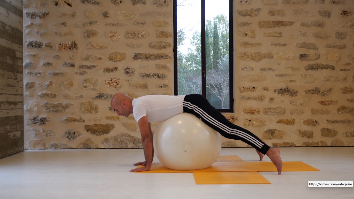 מיומנות תנועתית עם כדור פיטבול