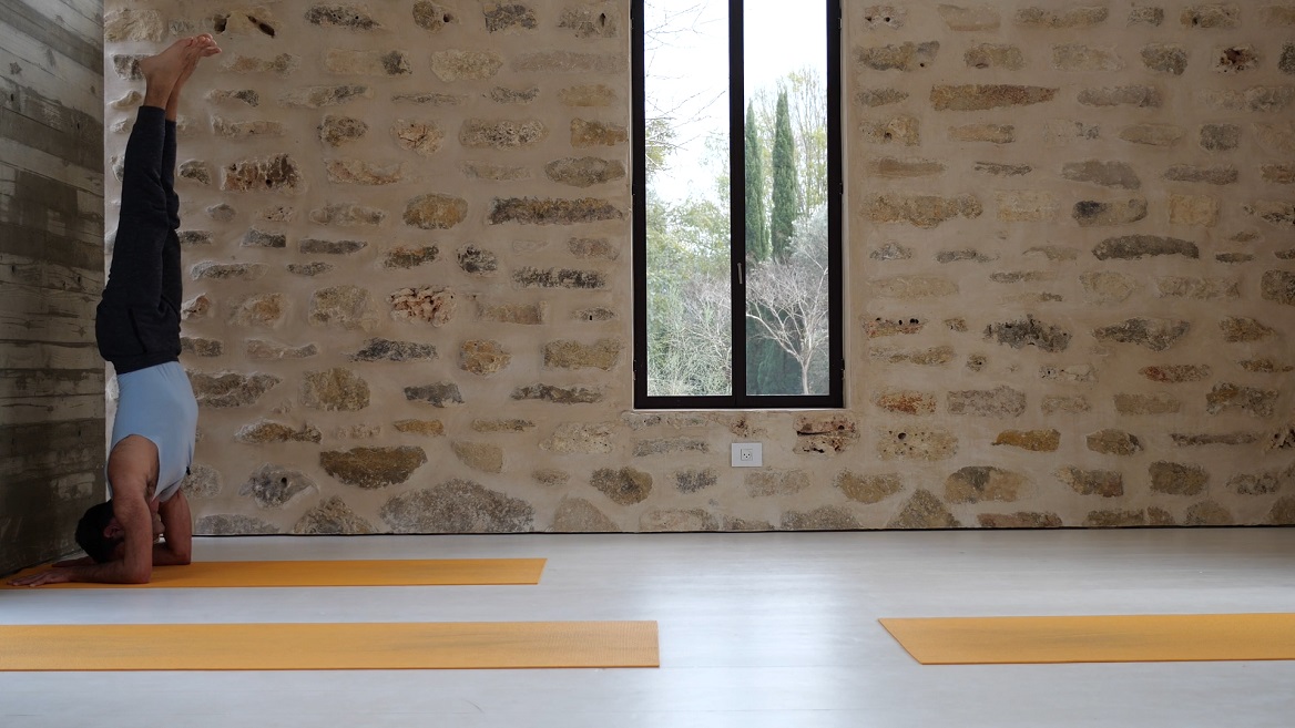 עמידת מרפקים שלב אחרי שלב