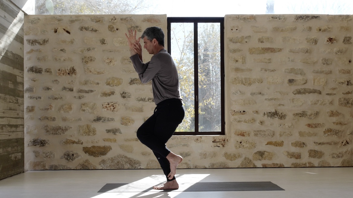 מהקרקע לשמיים – השתרשות, איזון ותנועה הרמונית